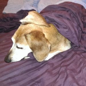 Meet your Posher, Joan